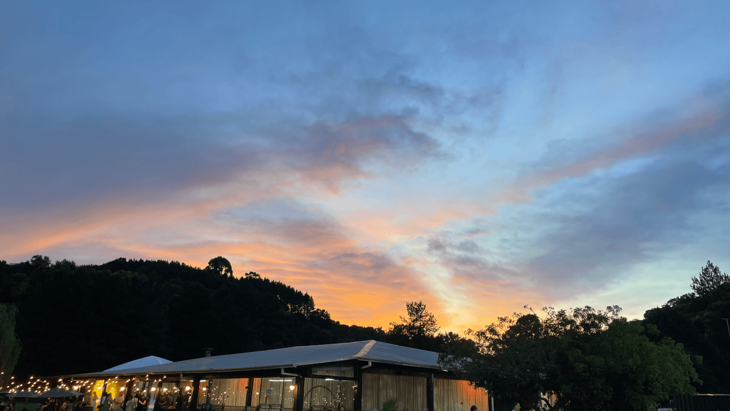 Picture of the sunset. Scattered clouds painted with the sunset colors spread over a still blue sky. Below, a building and some trees, and a gathering of people drinking and talking.