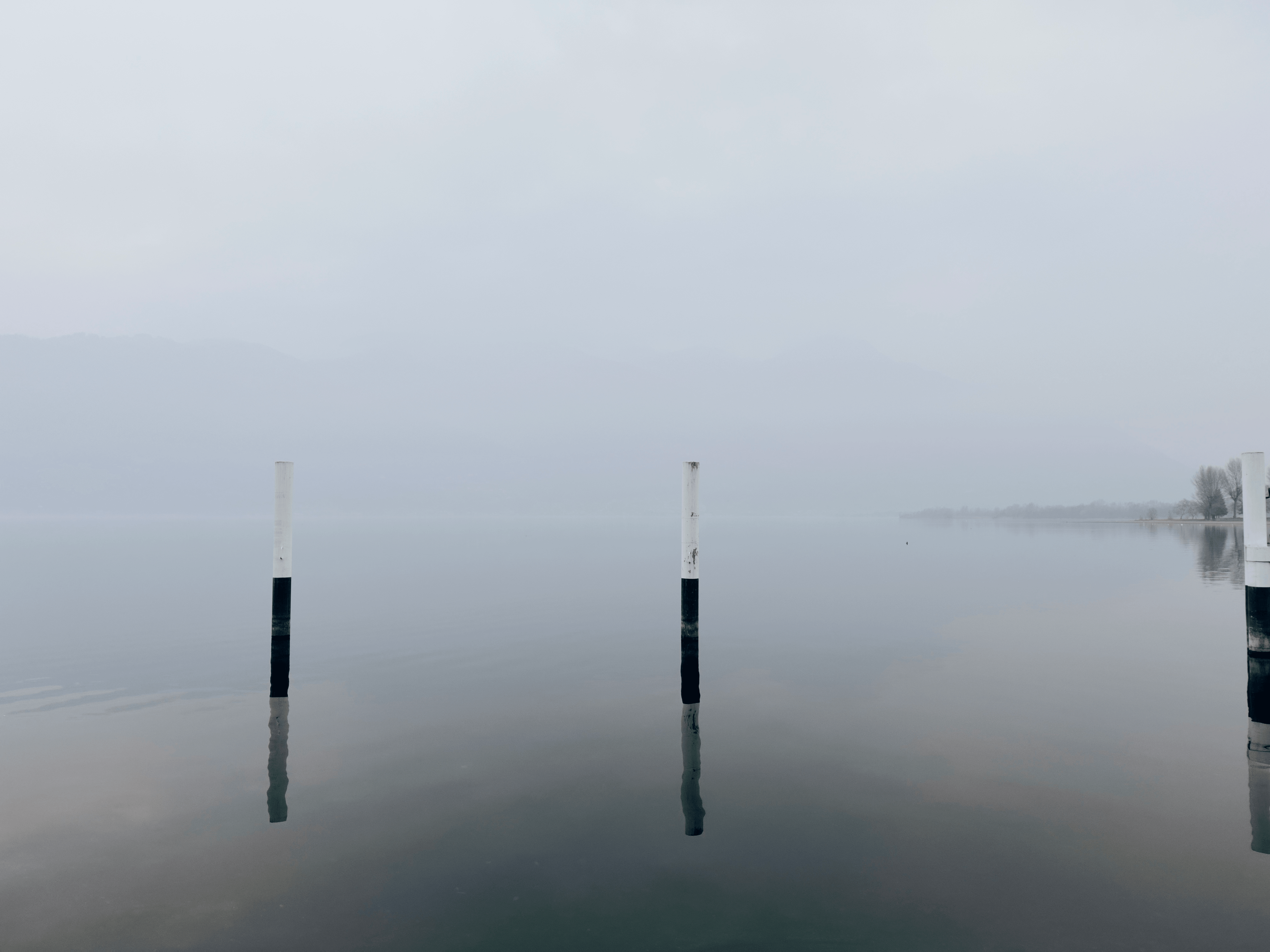Wooden posts float atop the grey waters of a lake, reflecting the fog above it.