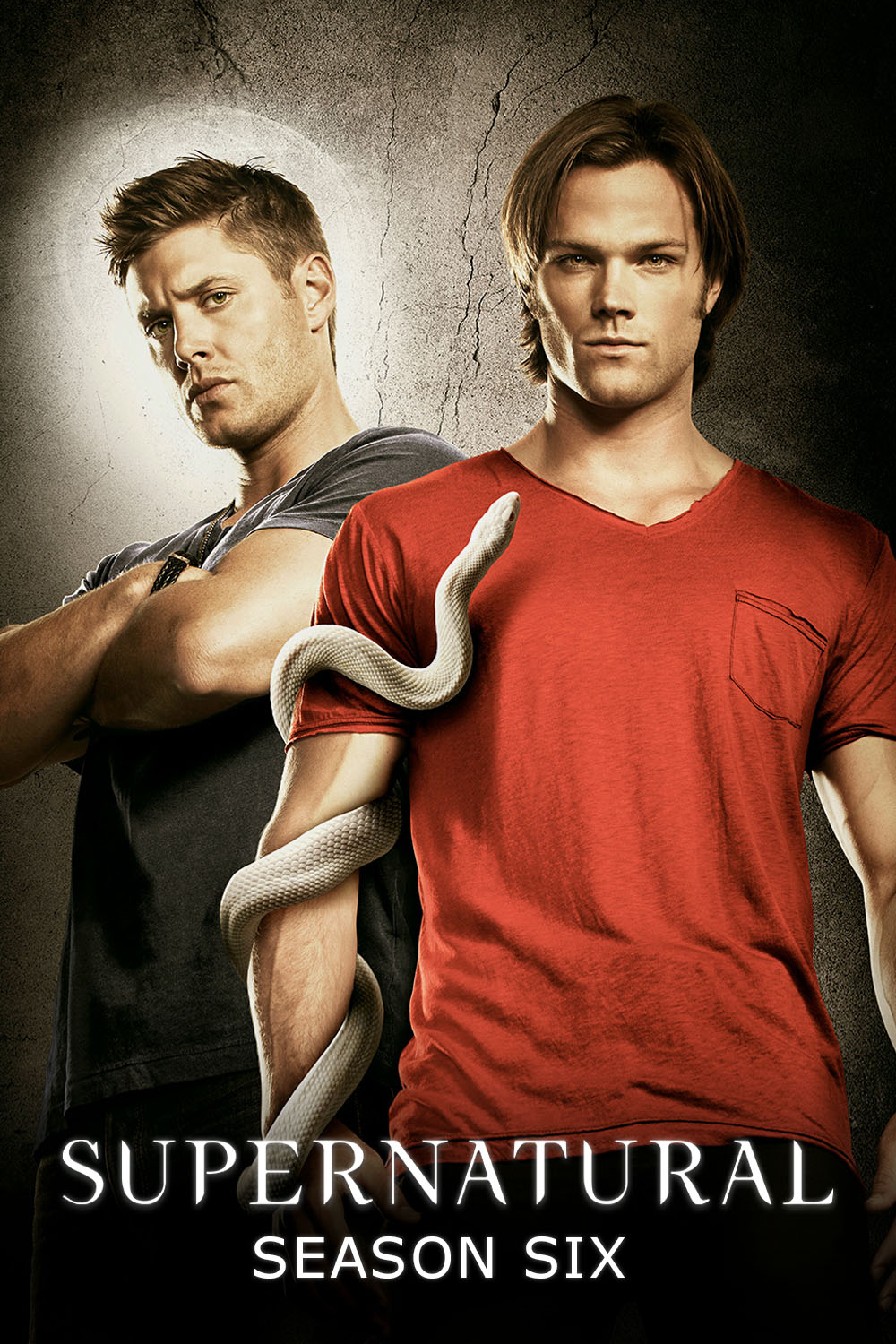 Cover of Supernatural (Season 6)